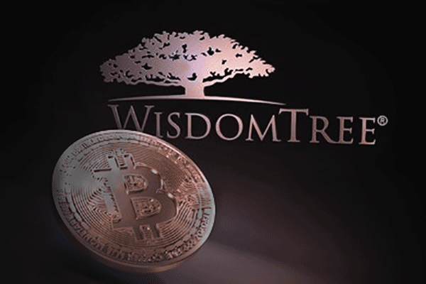 美股调整原因揭示：银行问题与政府停摆引发流动性紧张